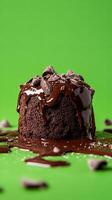 Melted Chocolate Cake Delight photo