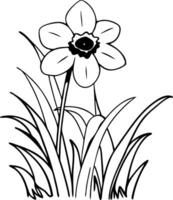 Daffodil Flower Line Art Illustration for Coloring and Design Projects vector