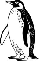 Penguin Illustration for Design and Art Projects vector