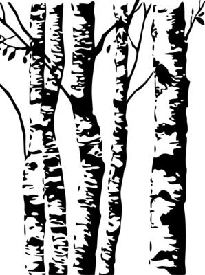 Birch Tree Forest Silhouette for Nature Art and Design Projects