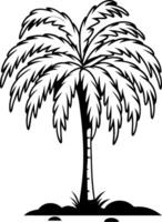 Tropical Palm Tree Illustration for Design and Decoration vector