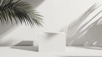 White cube with palm tree on white background photo