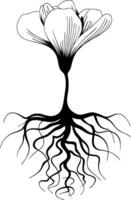 Intricate Floral with Detailed Roots for Nature Art Projects vector