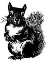 Intricate Squirrel Illustration for Art and Design Projects vector