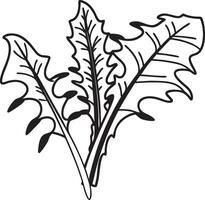 Black and White Dandelion Leaf Outline for Botanical Illustrations and Design vector