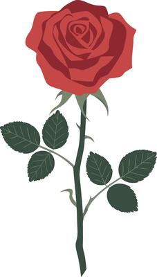 Beautiful Red Rose Illustration for Art and Design Projects