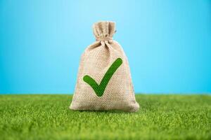 Bag with green tick. Fulfill all conditions. Complete tasks correctly. Everything is good. photo