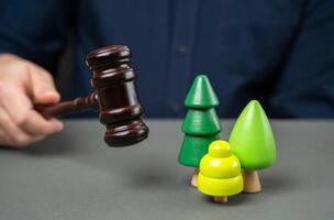 Judge with gavel and forest. Legislative protection of forests and nature reserves. Quotas and rules for use. Sale of natural resources through auction. photo