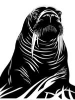 Majestic Walrus Illustration for Marine-Themed Designs and Educational Uses vector