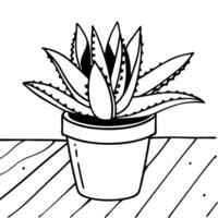 Black and White Potted Aloe Vera Plant Illustration for Coloring and Design vector