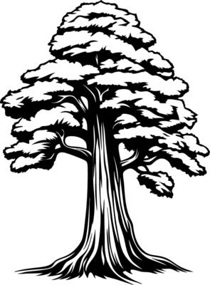 Majestic Tree Silhouette for Art Design and Illustration