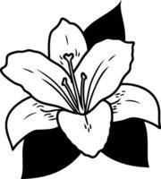 Elegant Lily Flower Line Art Illustration for Tattoo and Design Use vector