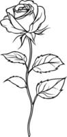 Elegant Rose Line Art for Coloring and Design Projects vector