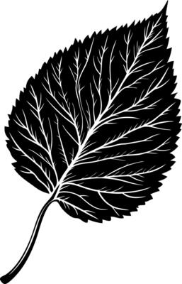 Detailed Leaf Illustration for Nature Art and Design Projects