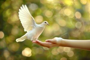 White dove landing on an outstretched hand against a blurred natural background, symbolizing peace, trust, and harmony in a serene outdoor setting photo