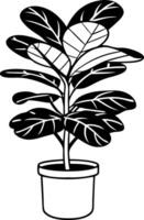 Fiddle Leaf Fig Silhouette for Decorative Design and Art Projects vector