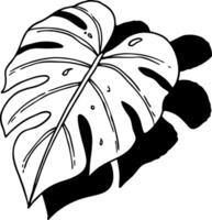 Monstera Leaf Black Line Art for Decoration and Design Projects vector