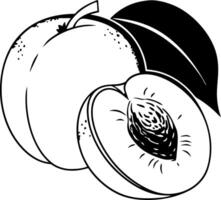 Illustration of Juicy Peach with Leaf Ideal for Coloring Books and Art Projects vector