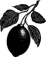 Vintage Lemon Branch Illustration for Botanical Art and Design Projects vector