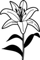 Elegant Black Outline Lily Flower Illustration for Art and Design vector