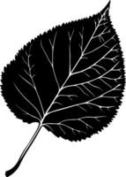 Detailed Black Leaf Silhouette Botanical for Art and Design Projects vector