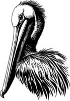 Detailed Pelican Profile Art for Creative Projects and Designs vector