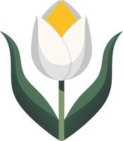 Elegant White Tulip Illustration for Design and Decor Projects vector