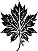 Intricate Black Maple Leaf Silhouette Art for Multifunctional Design Use vector