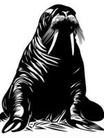 Majestic Walrus Art for Tattoo and Coloring Book Design vector