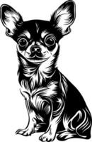 Intricate Chihuahua Dog Art Illustration for Design and Decor vector