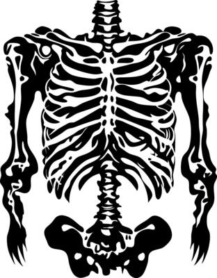 Human Skeleton Ribcage Illustration for Tattoos and Anatomy Education