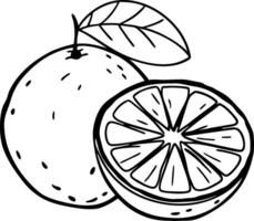 Orange Illustration for Coloring and Design Projects vector