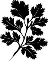 Silhouette of Fresh Herb Leaf for Art and Design Projects vector