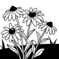 Illustration of Black and White Daisy Flowers for Coloring Book and Tattoo Design vector