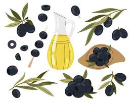 Set with black olive, branch and bottle oil. Olive berries and tree branches with leaves isolated on white background. vector