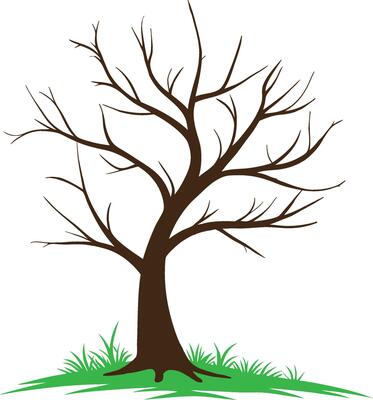 Stylized Tree Illustrations for Modern Design Themes