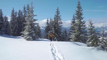 Winter sports and recreation hiking concept. Man backpacker tourist walking snow landscape. Carpathian mountain range. 4K video