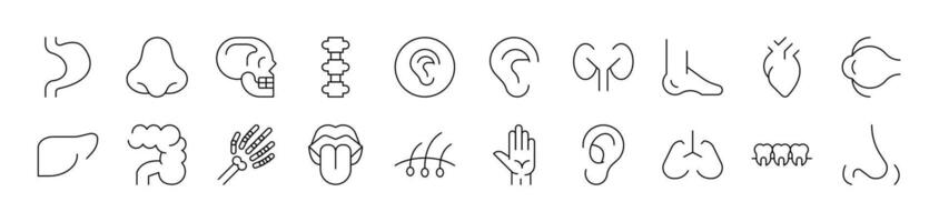 Internal Organs Bundle of Thin Icons. Editable Stroke. Suitable for Web Sites, Books, Cards, Apps vector