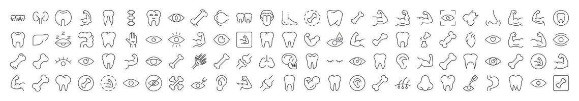 Internal Organd Bundle of Icons vector