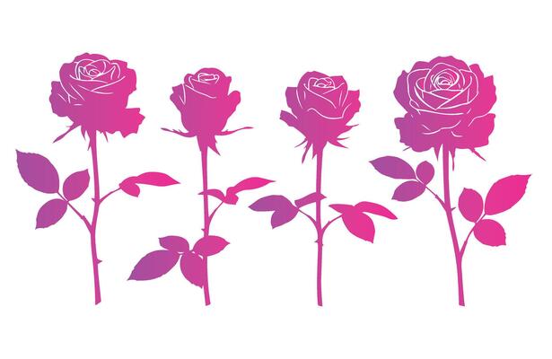 Minimal Gradient Roses for Wedding and Branding