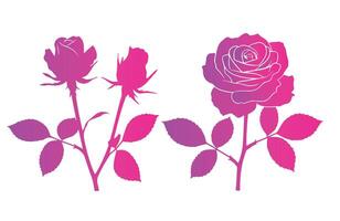 Creative Rose Graphics for Artistic Projects vector