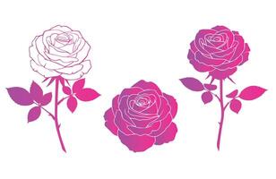 Sophisticated Rose Graphics for Romantic Themes vector