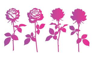 Floral Rose Design in Soft Gradient Tones vector
