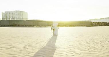 Warm sunlight washes over a figure walking on a sandy beach during sunset video