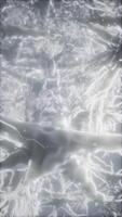 Journey through a neuron cell network inside the brain video