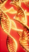Detailed visualization of DNA structure with a vibrant red background video