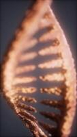Intricate structure of DNA showcased in a detailed microscopic view video