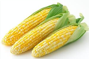 Fresh yellow corn kernels are showcased in detail on cob. Natural light highlights their juicy texture creating vibrant and appetizing appearance photo