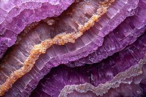 Layers of red onion reveal their complex structure featuring delicate purple gradients and concentric rings. stark white background highlights onion's natural beauty photo