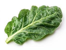 Deep green collard leaves showcase intricate vein structures and rich color set against neutral background enhances their natural beauty and texture photo